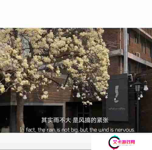 奶茶并不比烟贵一束花也不是高消费图片